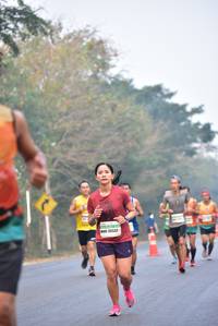 BIB: 26532
                            <button type="button" onclick="openModal(10135106)" class="btn btn-primary btn-sm float-right btn-popup" data-toggle="modal" data-target=".modal-high-quality">
                        <i class="fas fa-shopping-cart"></i> Add to Cart
                    </button>
                                            <button type="button" onclick="isThisMe(10135106, true)" class="btn btn-success btn-sm float-right btn-popup btn-isme hidden" data-toggle="tooltip" data-placement="bottom" title="นี่คือรูปของคุณใช่ไหม คลิกที่นี่เพื่อเอาเข้าอัลบั้ม">
                        <i class="fas fa-plus"></i> Add to album
                    </button>
                    <button type="button" onclick="isThisMe(10135106, false)" class="btn btn-warning btn-sm float-right btn-popup btn-isnotme hidden">
                        <i class="fas fa-ban"></i> Remove from album
                    </button>